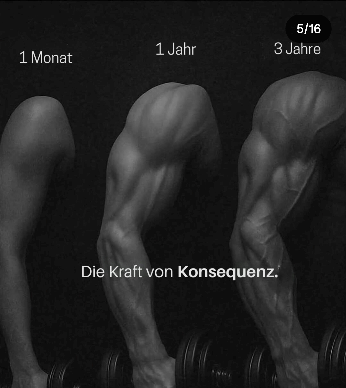 Du betrachtest gerade Mit Fokus–Fokus–Fokus zum Erfolg!